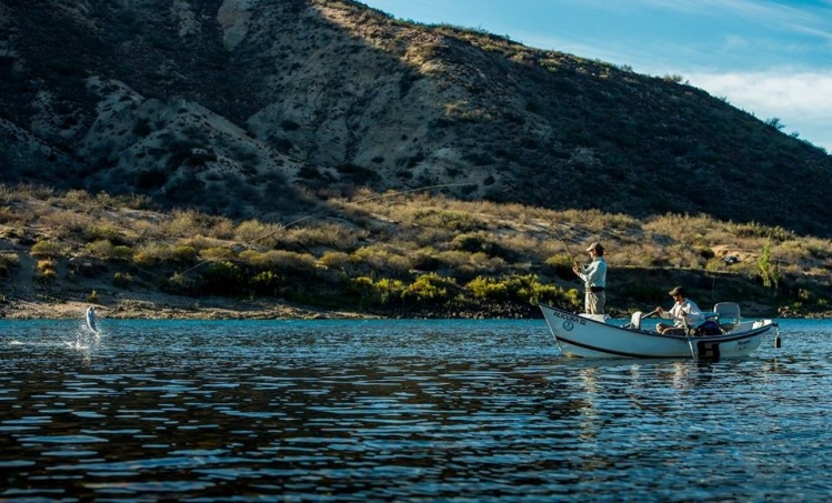 Great action pic on the Limay !!!!
See you at Limay River Lodge !!