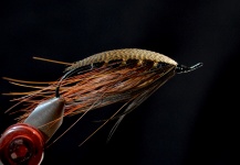 Matias Castro 's Fly-tying Photo – Fly dreamers 