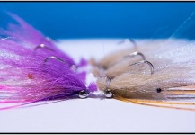 Fabio Gasperoni 's Fly for Bonefish - Picture – Fly dreamers 