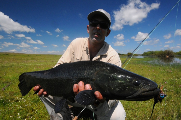En la foto, Ignacio Silva .....un referente en la pesca de las azules! Las conoce a la perfección, sus hábitos, conductas, etc