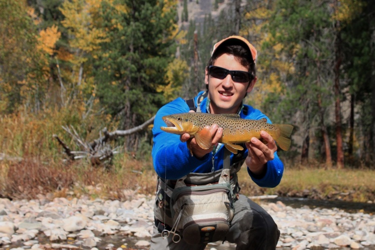 A lovely brown trout taken with a nymph on Rock Creek, MT. 