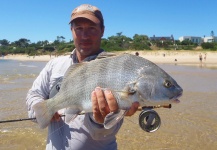 Sebastian Diaz 's Fly-fishing Image of a Black Drum – Fly dreamers 