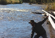 Fly-fishing Situation of Steelhead - Picture shared by Robert Gibbes – Fly dreamers