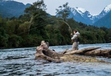 Good Fly-fishing Situation Picture by Michelle Nordenflycht 