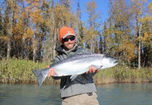 Robert Gibbes 's Fly-fishing Image of a Silver salmon – Fly dreamers 