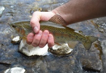 Cool Fly-fishing Photo shared by Matej Kristan | Fly dreamers 