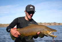 Fly-fishing Image of Marrones shared by Flotadas Chimehuin – Fly dreamers