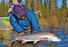 Alaska Fishing/Guiding