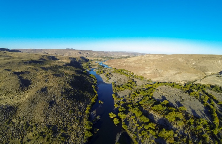 Trout Waters, Argentina