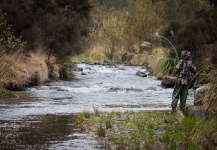 Fly-fishing Situation of Rainbow trout - Picture shared by Stu Hastie – Fly dreamers