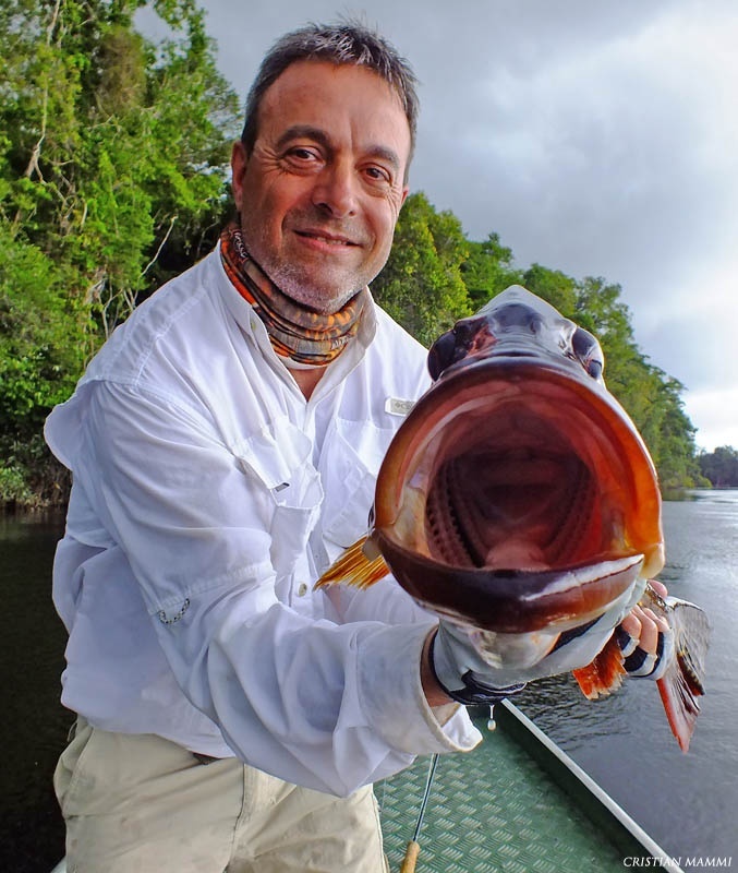 Amazonas Octubre 2014