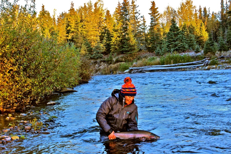 Alaskan Steelhead Buck