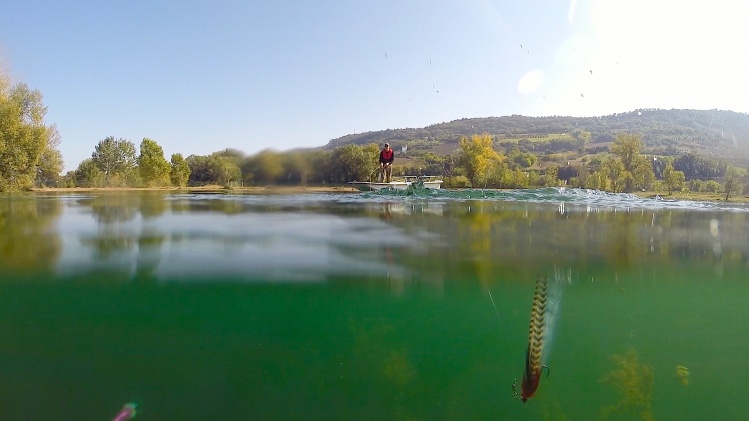 Bass and pike fishing on Cristal lake - Pedaso ITALY