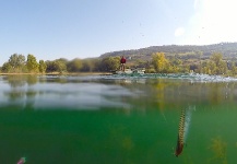 Largemouth Bass Fly-fishing Situation – Antonio Napolitano shared this () Image in Fly dreamers 