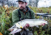 Scientific Anglers 's Fly-fishing Pic of a Muskie – Fly dreamers 