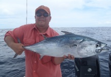 Fly-fishing Pic of False Albacore - Little Tunny shared by Only On A Fly – Fly dreamers 