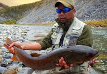 Jan Haman 's Fly-fishing Photo of a Taimen – Fly dreamers 