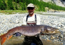 Taimen Fly-fishing Situation – Jan Haman shared this Impressive Image in Fly dreamers 