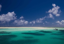 Bonefish Fly-fishing Situation – Keith Rose-Innes shared this Photo in Fly dreamers 