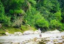  Picuda - Salminus affinis – Interesante Situación de Pesca con Mosca – Por Elias Kuffaty