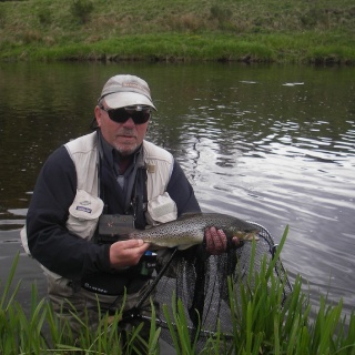 Trout  Fishing River Don Scotland 2014