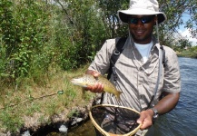Billy Cosby 's Fly-fishing Photo of a Brown trout – Fly dreamers 