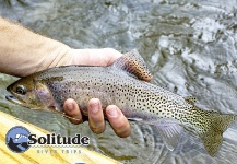 Fly-fishing Image of Cutthroat shared by Willi Cannell – Fly dreamers