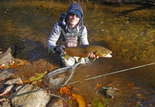 Guillaume Duvernois 's Fly-fishing Image of a Brown trout – Fly dreamers 
