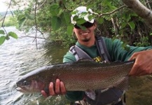 Fly-fishing Picture of Rainbow trout shared by Cody Burgdorff – Fly dreamers