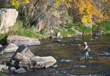 Thomas & Thomas Fine Fly Rods 's Fly-fishing Situation Pic – Fly dreamers 
