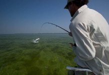 Scott Yetter 's Fly-fishing Picture of a Tarpon – Fly dreamers 