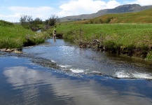 Fly-fishing Situation of Brown trout - Picture shared by Andrew Fowler – Fly dreamers