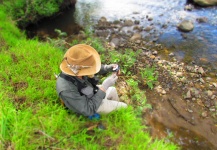 Brown trout Fly-fishing Situation – Andrew Fowler shared this Nice Photo in Fly dreamers 