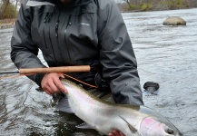 Fly-fishing Picture of Steelhead shared by Thomas & Thomas Fine Fly Rods – Fly dreamers