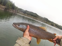 Foto de pesca con mosca