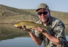 Barbel on dry fly