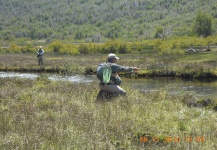 Arroyo Malalco, Alumine, Neuquen , Argentina