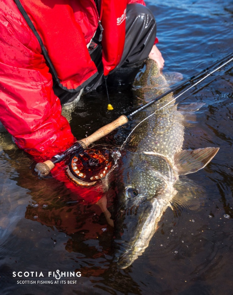 23lb beastie from the float tube.