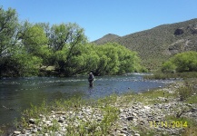 rio Malleo, Junin de los Andes , Neuquen , Argentina