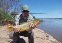 Gabriel Furlanetto 's Fly-fishing Photo of a Golden Dorado – Fly dreamers 