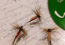 Nice Fly-tying Photo shared by Eduardo Niklison – Fly dreamers 