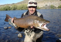 Fly-fishing Pic of Brown trout shared by Ricardo Muller – Fly dreamers 