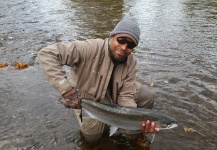 Fly-fishing Picture of Steelhead shared by Joel Johnson – Fly dreamers