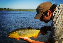 Alfonso Aragon 's Fly-fishing Picture of a Golden Dorado – Fly dreamers 