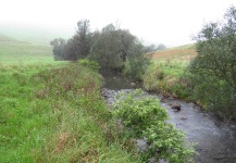 streams and stillwaters, KZN Midlands, South Africa