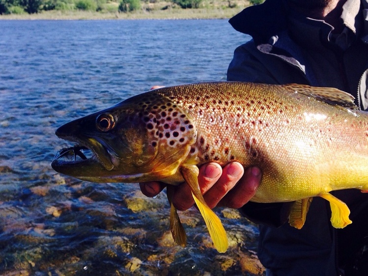 Limay River Lodge, Piedra del Aguila, Patagonia, Argentina