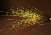  Mira esta Excelente fotografía de atado de moscas de Irénée Sicard