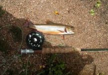  Fotografía de Pesca con Mosca de Brookies por Gonzalo Fernandez – Fly dreamers