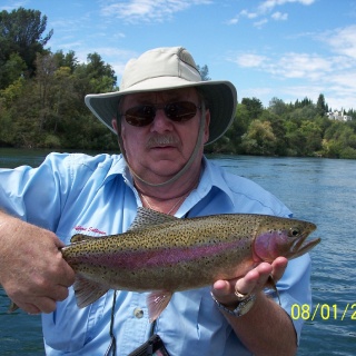 Sacramento River Rainbow Trout