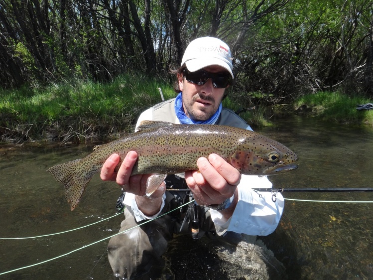 Malleo river, Junin de los Andes , Neuquen , Argentina